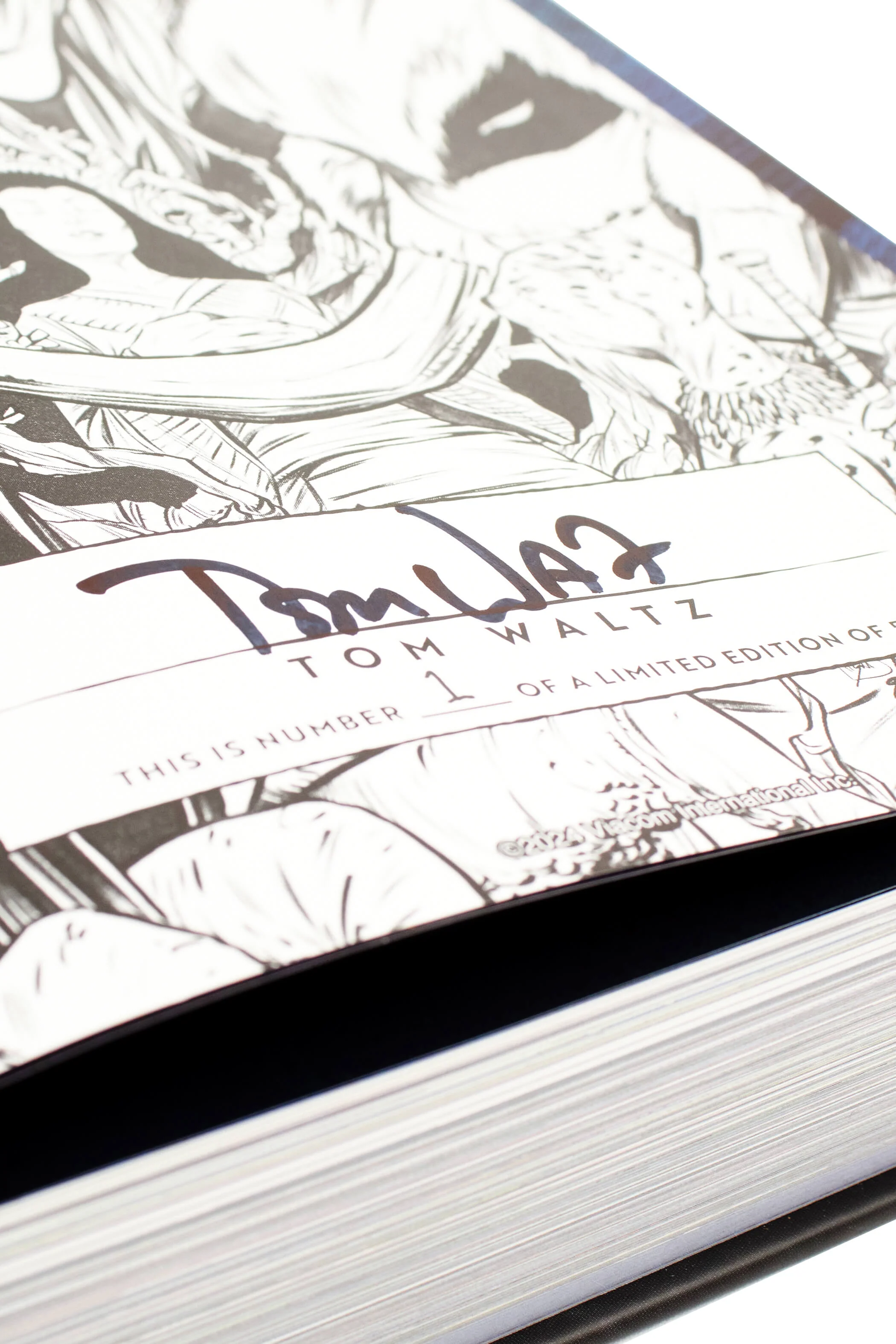 Thumbnail 1